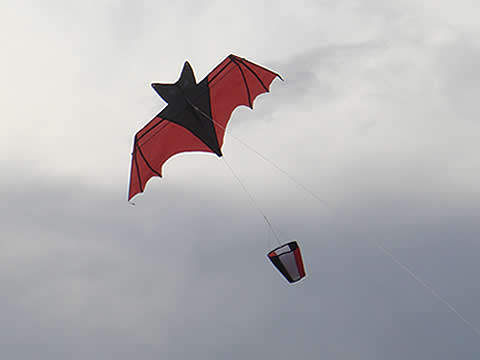 batcula