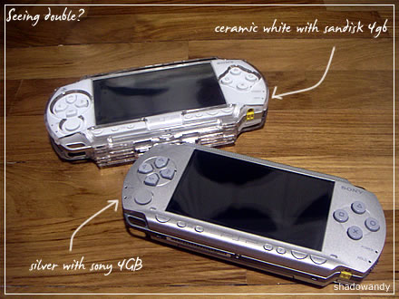 doublePSP.jpg