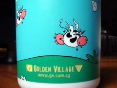 GV insulated bottle GV insulated bottle
