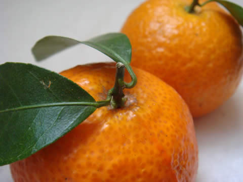 oxpicious_2009