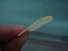 potatochipsmaker_05