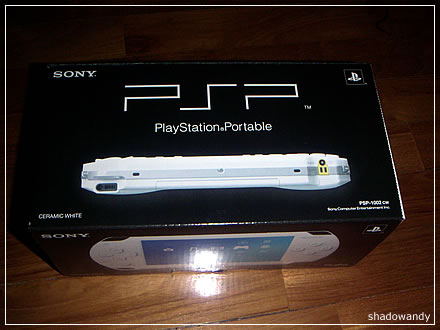 psp02.jpg