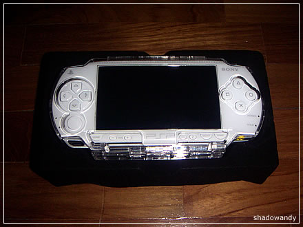 psp03.jpg